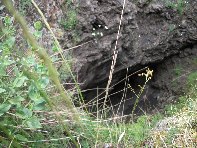 Serra_Pizzuta - Eruzione_del_1792_cratere_20100602 117.jpg
